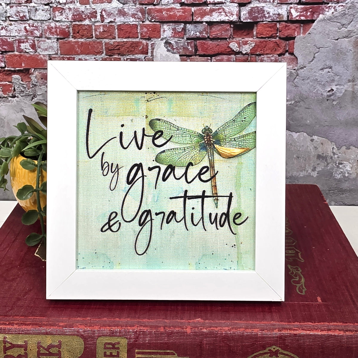Mini Frame - Live by grace and gratitude